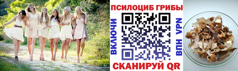 Псилоцибиновые грибы MAGIC MUSHROOMS  Почеп 
